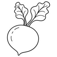 generate a bold and easy coloring page of beetroot for kids the beetroot should have a round bulb vector