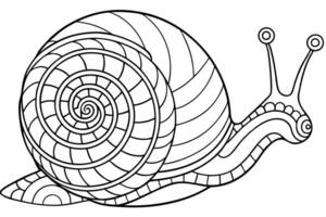generate a and intricate line drawing of a snail the snail should have a large spiraling shell vector