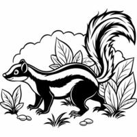 coloring book image of striped skunk walking on ground in bushes, illustration line art vector