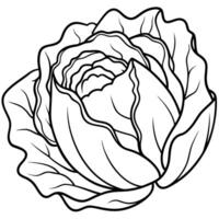 a coloring page of an food radicchio with no color just black lines, illustration line art vector