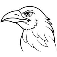 a side view of an angry raven head, illustration line art vector