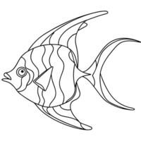 continuous single line drawing of angelfish line art illustration, illustration line vector