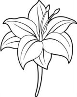 a coloring page of an amaryllis with no color just black lines, illustration line art vector