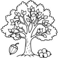 a coloring page of oak tree with falling acorns and an oak at the top of the tree, vector