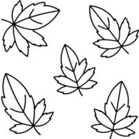 fall border lines from autumn botanical leaves set of autumn leaves pattern line, herbal elements vector