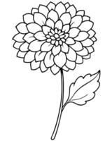 a coloring page of an scabiosa with no color just black lines, illustration line art vector