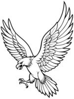 an eagle in flight, wings spread wide, with clear, simple lines to show feather details for vector