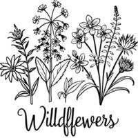 a illustration of wildflowers with white outlines on a dark blue background there are vector
