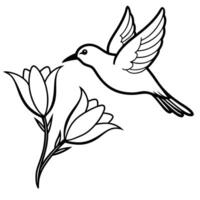the bird is flying on this freesia flower, illustration line art vector