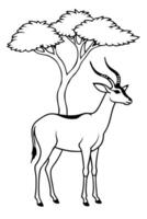 a gerenuk standing on its hind legs, reaching up to nibble on leaves from tall branches, with vector