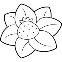 a coloring page of an food ximenia with no color just black lines, illustration line art vector