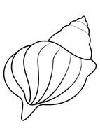 a coloring page of an shell with no color just black lines, illustration line art vector