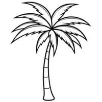 a palm tree, illustration line art vector