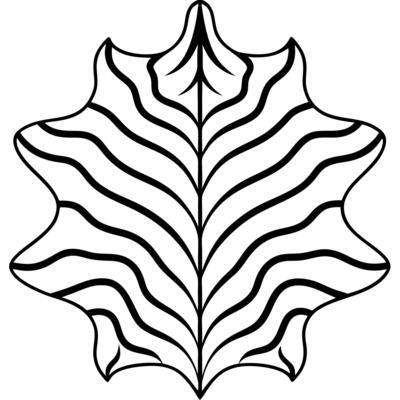 animal skin pattern, illustration line art