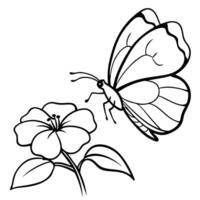 a butterfly is extracting nectar from a impatiens flower, illustration line art vector