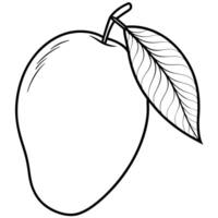 mango with top one leaf outline, illustration line art vector