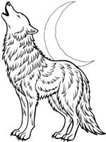 a wolf howling at the moon, drawn with detailed but simple lines, emphasizing the fur texture, vector