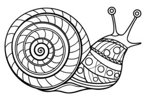 generate a and intricate line drawing of a snail the snail should have a large spiraling shell vector