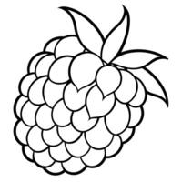 a coloring page of an food raspberry with no color just black lines, illustration line art vector