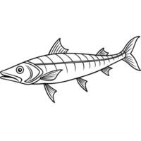 continuous single line drawing of barracuda fish line art illustration, illustration vector