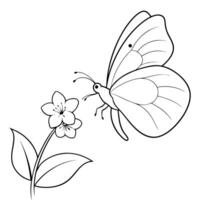 a butterfly is extracting nectar from a veronica flower, illustration line art vector