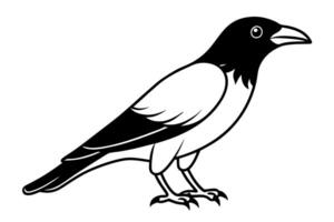 common raven icon on white background, illustration line art vector