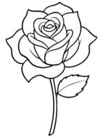 also known as the damascus rose, this flower is highly fragrant with deep pink or red petals it has vector