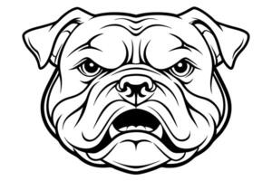 angry bulldog head in vintage style isolated illustration, illustration line art vector