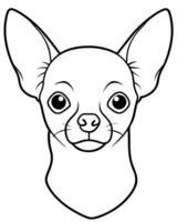 chihuahua dog entire head front view, illustration line art vector