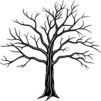 dead tree isolated on transparent background , dry tree cut out , illustration line art vector