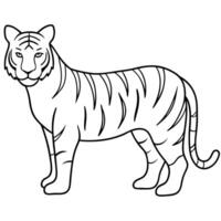 a simple single-line art drawing of a beautiful tiger image background white, illustration vector