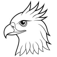 a harpy eagle head with white background, illustration line art vector