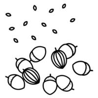 acorns and nuts on the ground, illustration line art vector