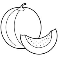 cantaloupe honey melon sliced, half and total, illustration line art vector