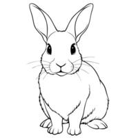 rabbit top side view sketch lineart black and white, illustration line art vector