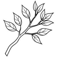 tree branch with leaves, illustration line art vector