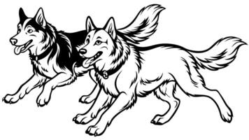 2 huskies running, illustration line art vector