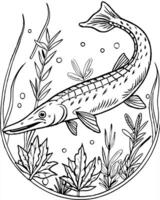 a alligator gar swiming background have water plants and water details, illustration line vector