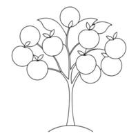 peach tree, illustration line art vector
