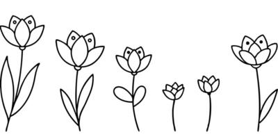 a row of wildflowers in a line looking forward all sizes, illustration line art vector