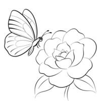 a butterfly is extracting nectar from a camellia flower, illustration line art vector