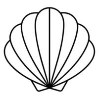 seashell basic and summer vibe, illustration line art vector