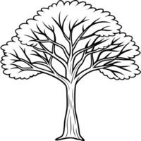teak tree, illustration line art vector