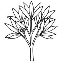 a detailed line art focused on the elongated leaves and thin branches of a eucalyptus tree, vector