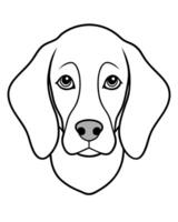 beagle dog entire head front view, illustration line art vector
