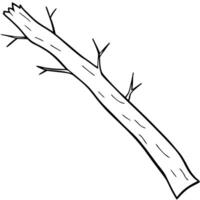 a chopped thin and long tree trunk branch with bark and nodes, illustration line art vector