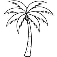 a palm tree, illustration line art vector