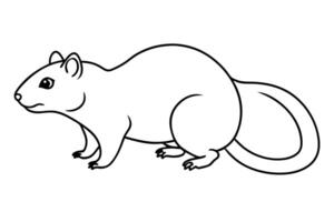 hamster standing on all fours the badger stands on all four legs, often while foraging or vector