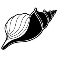 3d rendering of dynamic conch with silhouette beautiful line art, illustration line art vector