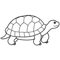 a desert tortoise with a large, patterned shell and short legs, illustration line art vector